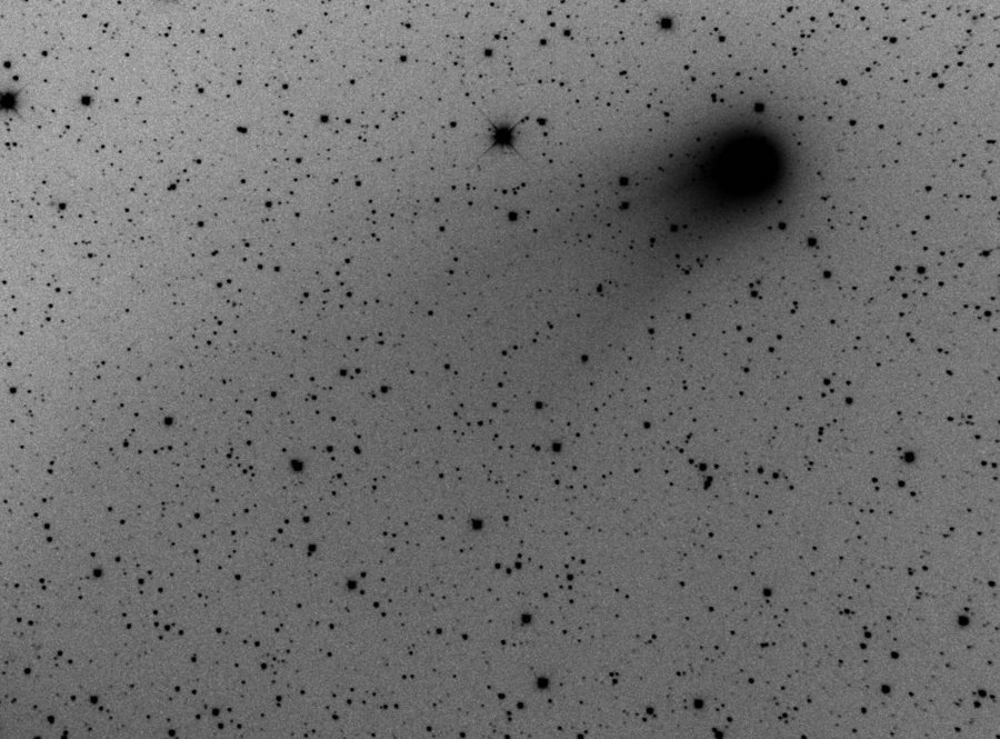 Comet C/2009P1 Garradd
