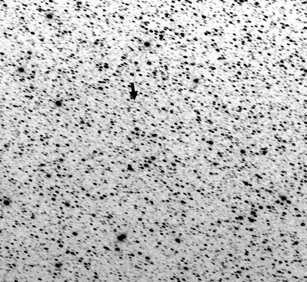 Comet C/2015 VL62 Lemmon-Yeung-PANSTARRS