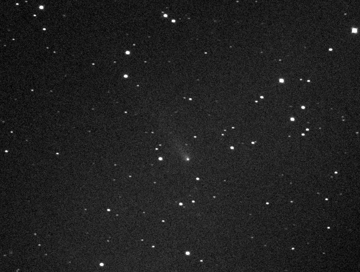 Comet 213P/van Ness