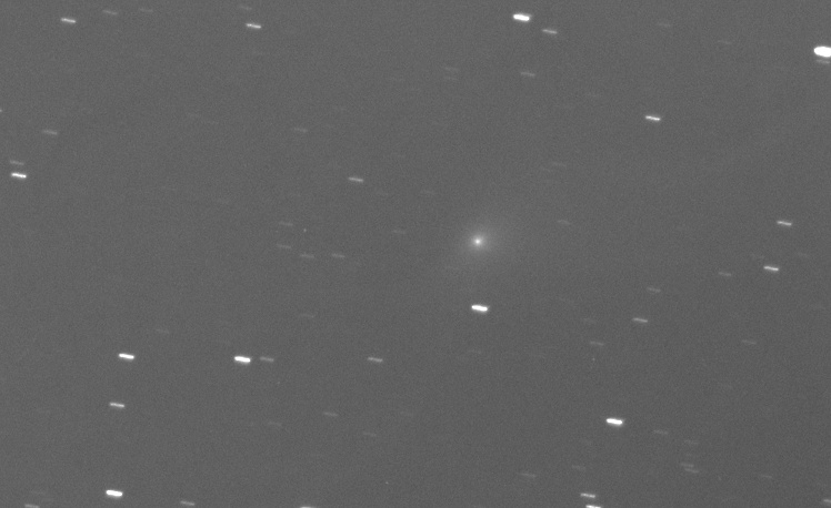 Comet 96P/Machholz