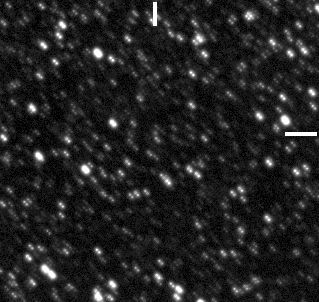 Comet LINEAR C/2003 K4