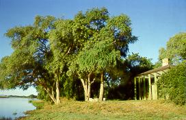 Lodge am Sambesi