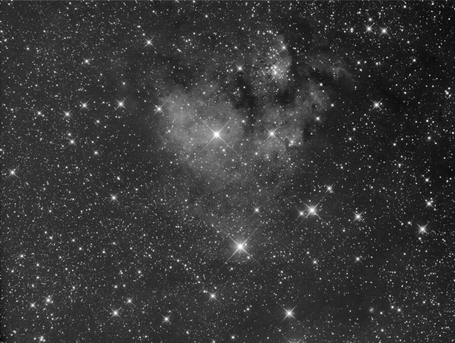Berkeley 59  + CED 214 Nebula