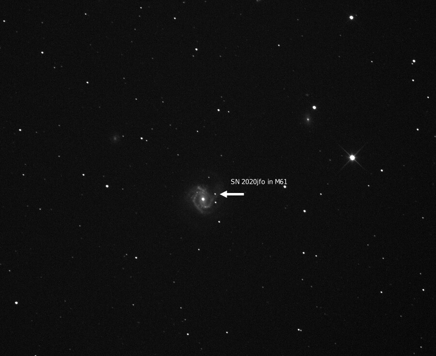 SN 2020jfo in M61