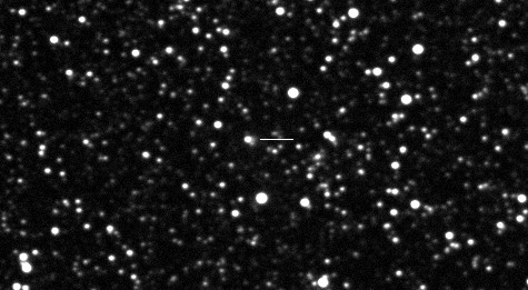 Comet 115P/Maury