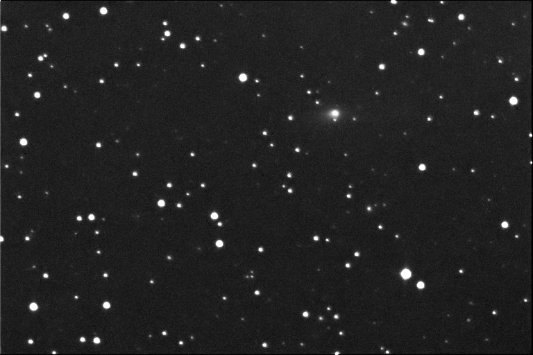 Comet 116P/Wild