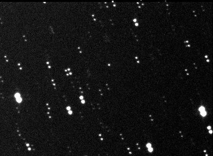 Comet 162P/Siding-Spring