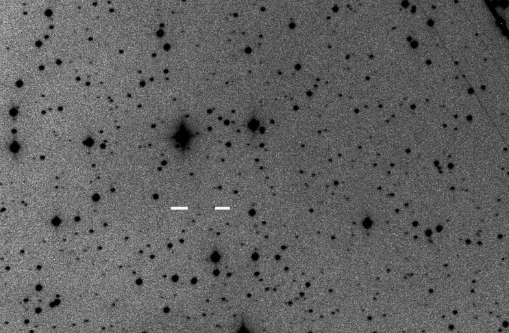 Comet P/2008 O2 McNaught