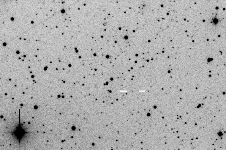 Comet C/2008 Q1 Maticic