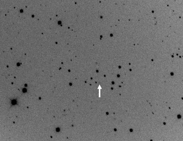 Comet P/2010 JC81 WISE