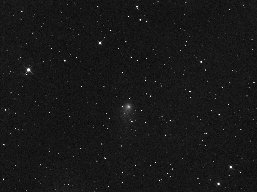Comet C/2019 U6 Lemmon