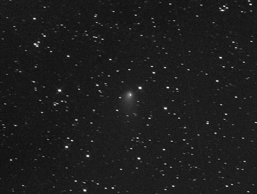 Comet C/2019 U6 Lemmon