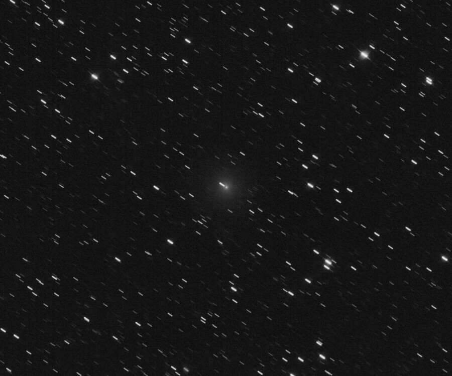 Comet C/2022 P1 NEOWISE