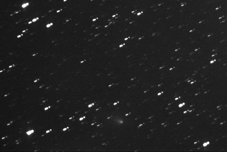 Comet 205P/Giacobini