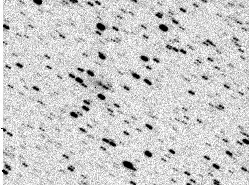 Comet Komet 49P/Arend-Rigaux