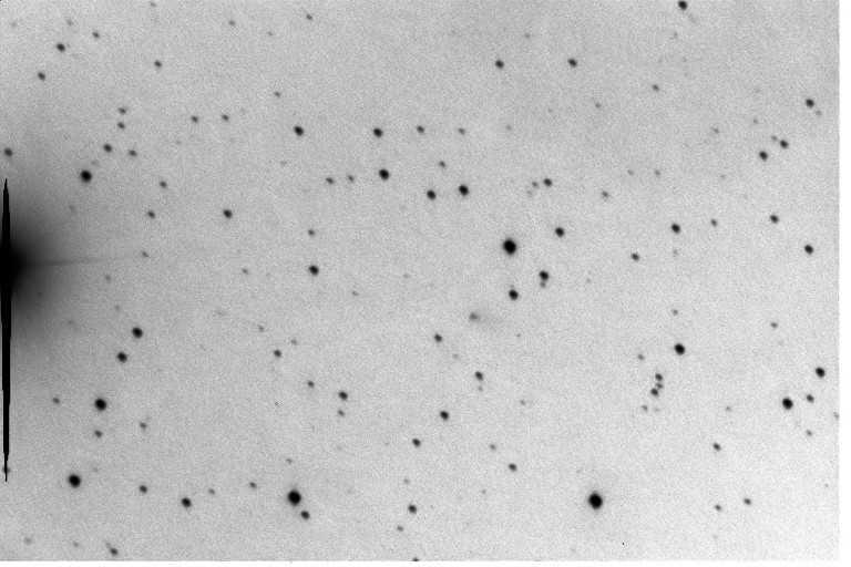 Comet 61P/Shajn-Schaldach