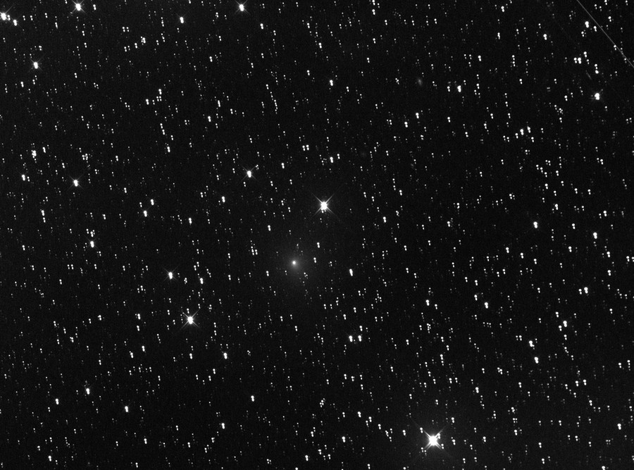 Comet 64P/Swift-Gehrels