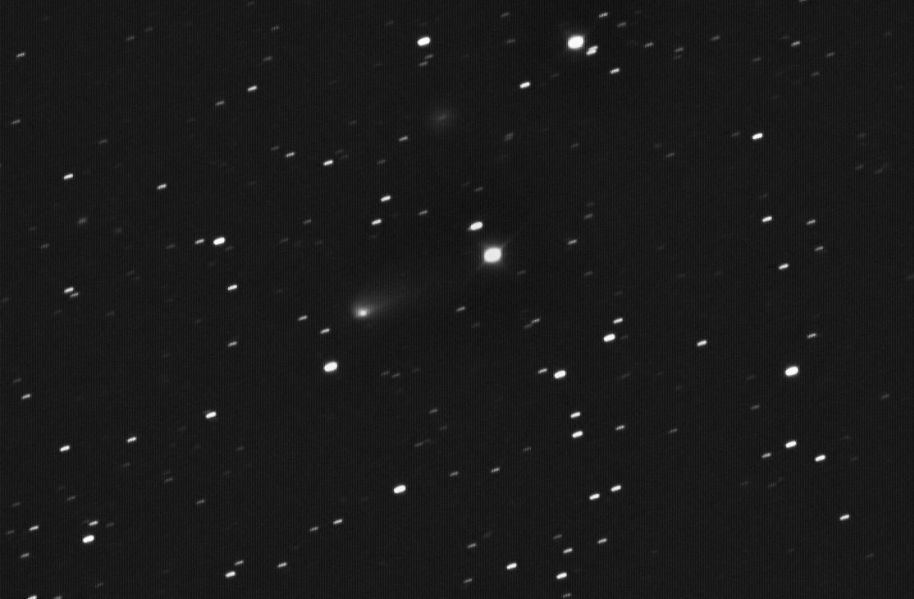 Comet 81P/Wild
