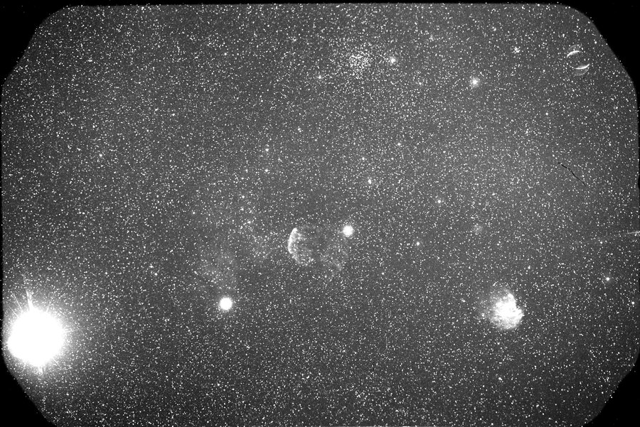 IC 443 + NGC 2174